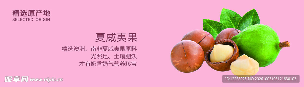夏威夷果产品宣传图