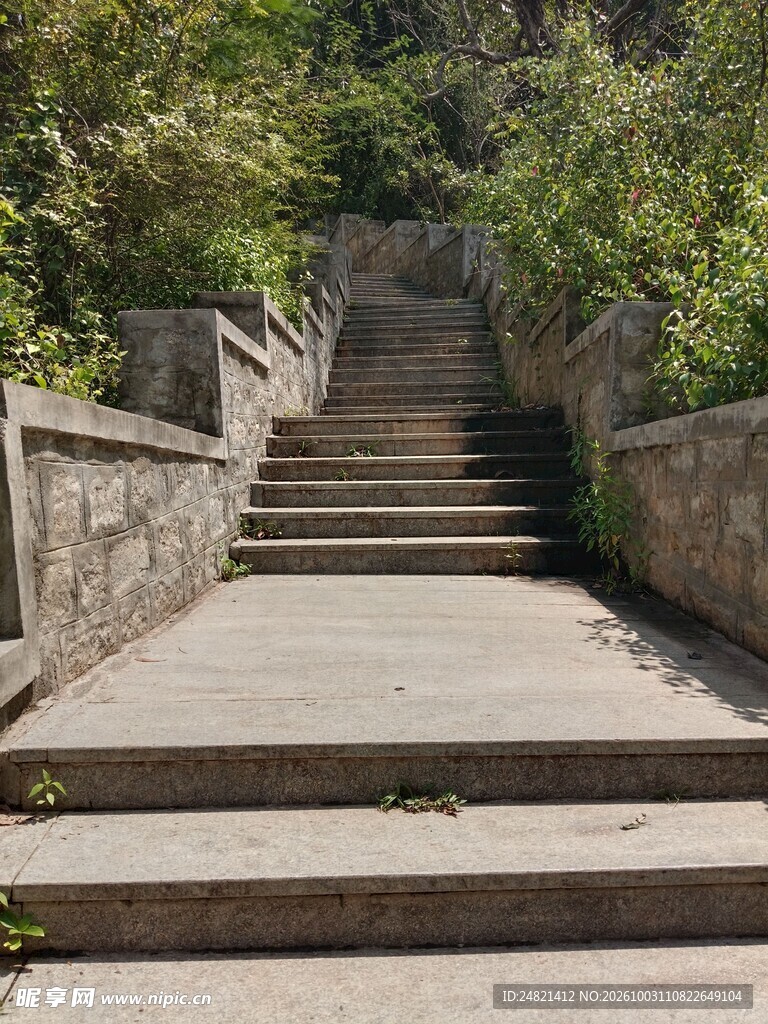 林间石阶登山步道