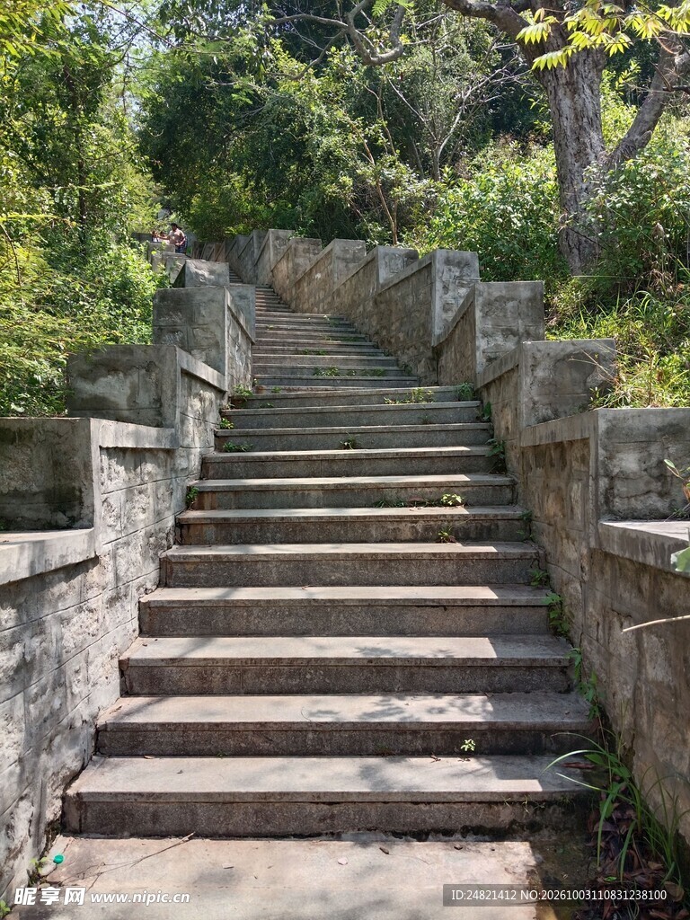 林间石阶步道