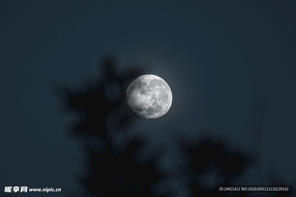 夜空中的满月与树影