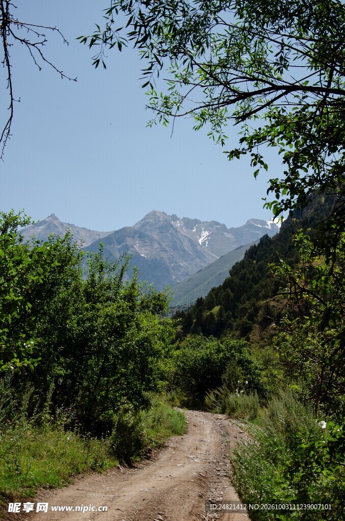 山间郊野土路风景