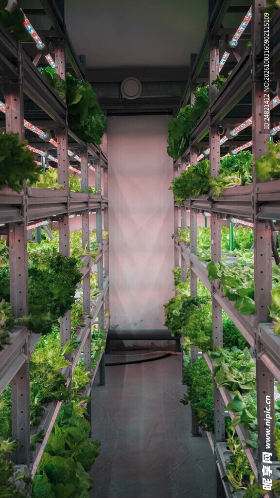 室内垂直水培种植场景
