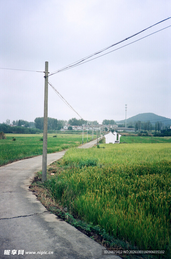 乡野田间小路风光