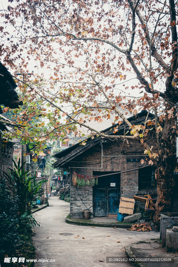 秋日老街老屋小景
