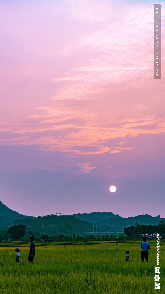 郊野黄昏月下美景