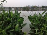 湖泊