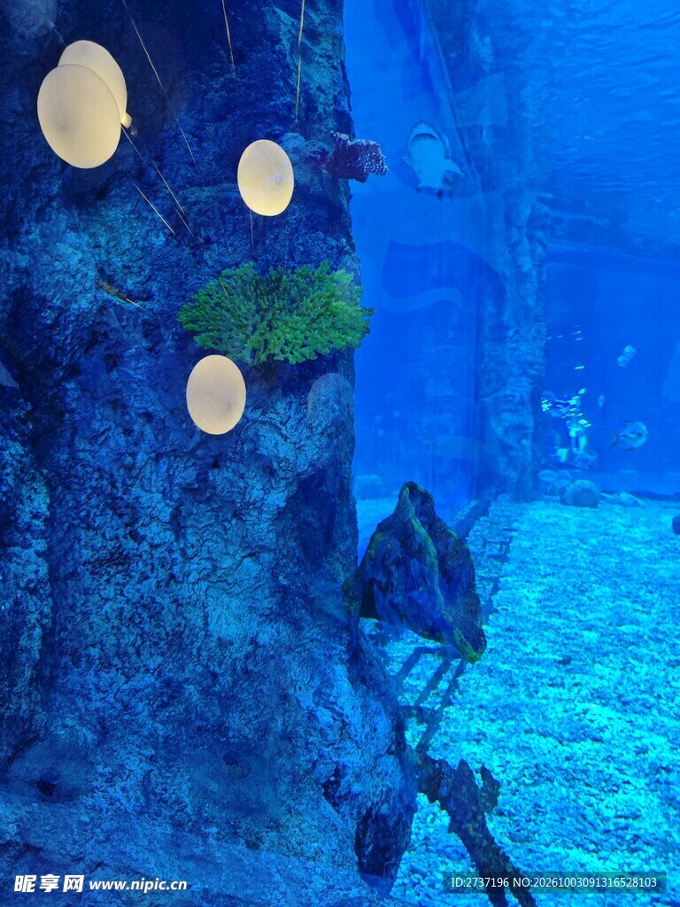 海洋馆