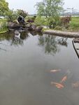 鱼池