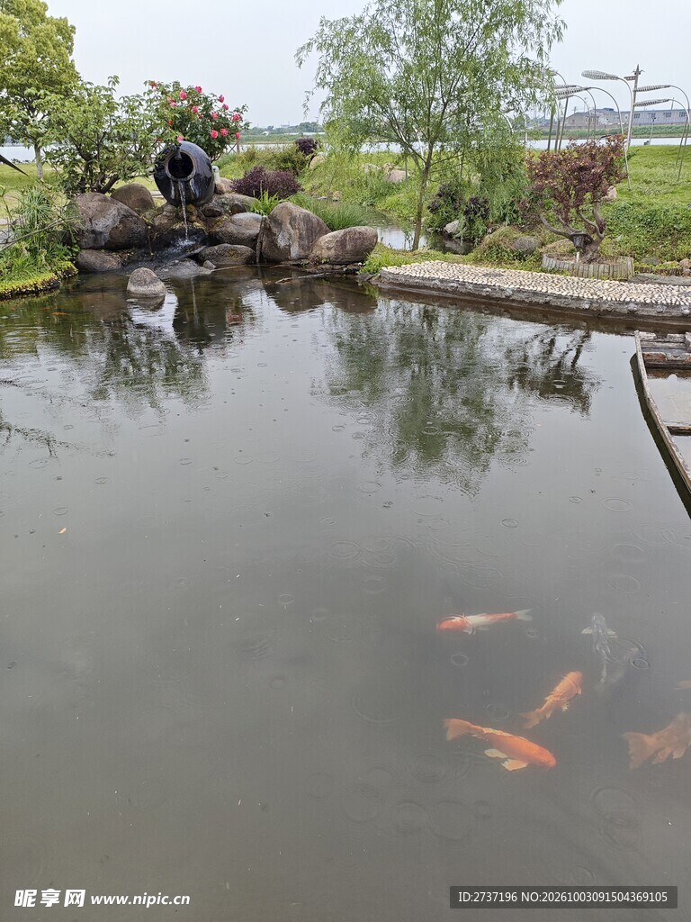 鱼池
