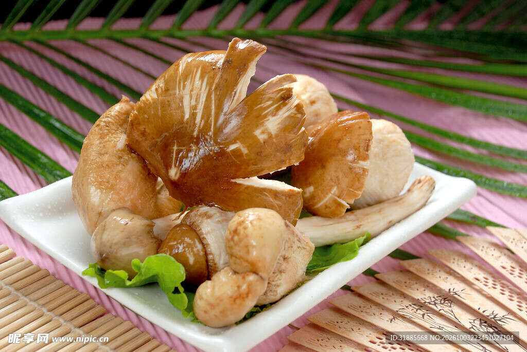 鸡枞菌