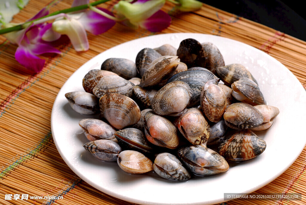 新鲜花蛤食材