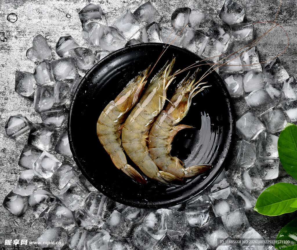冰鲜大虾食材展示