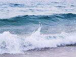 海边白浪拍岸