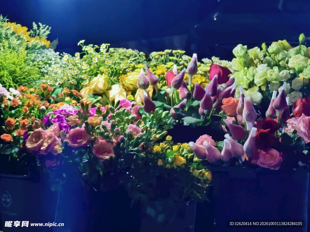 深蓝背景缤纷花艺