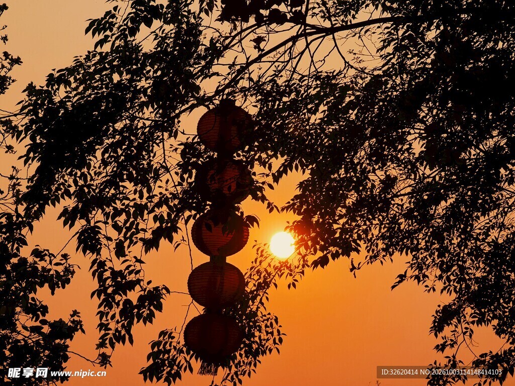 夕照树影黄昏街景