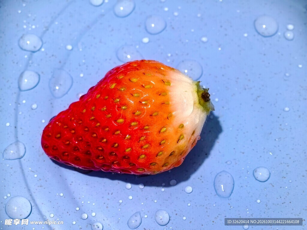 草莓