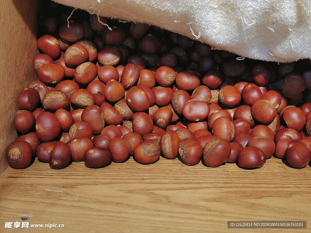 板栗