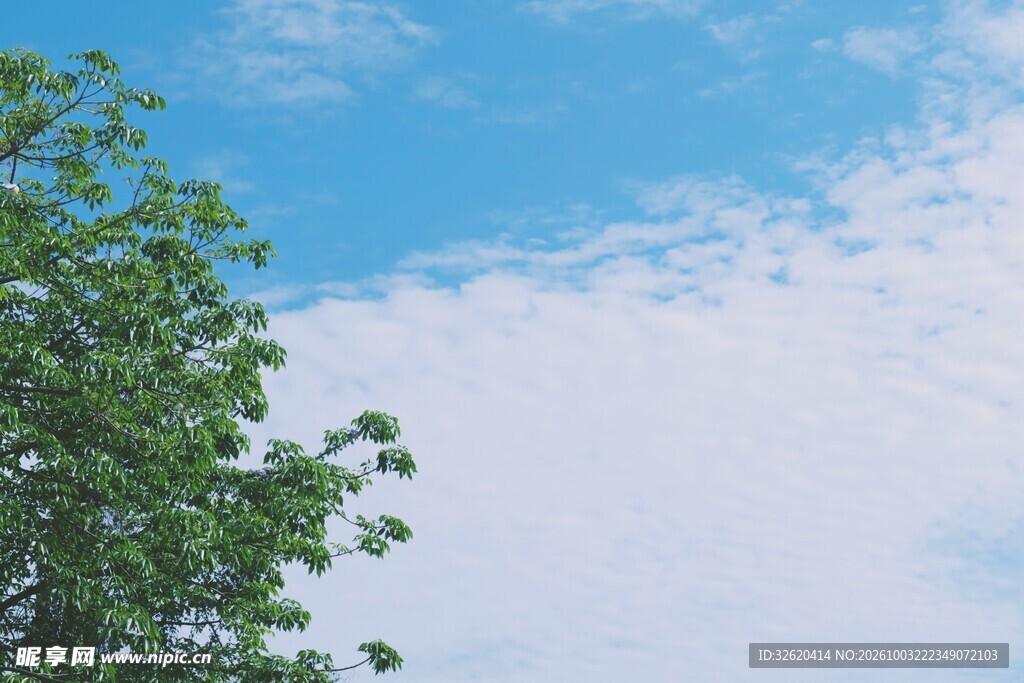 蓝天绿树