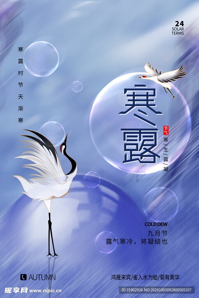 寒露节气国风海报