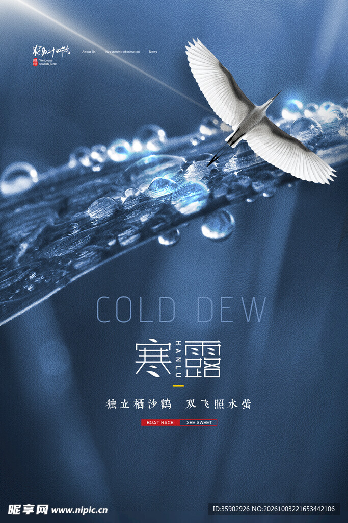 寒露节气创意海报