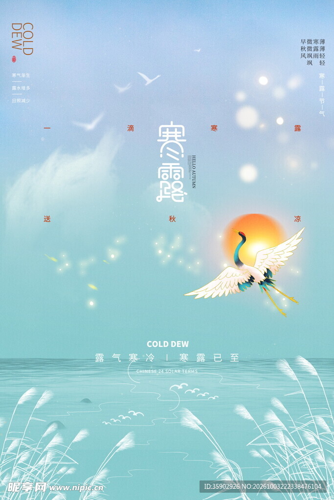 寒露清新海边治愈风景海报