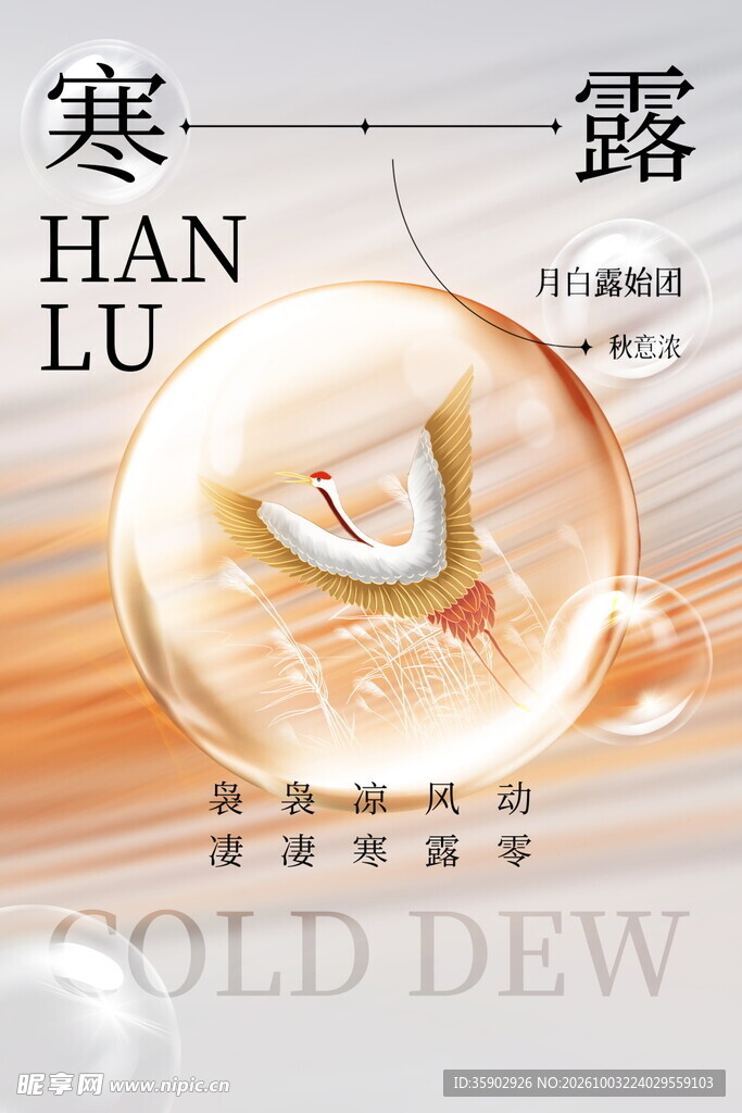 寒露节气创意海报