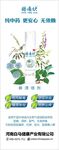 廯清喷剂