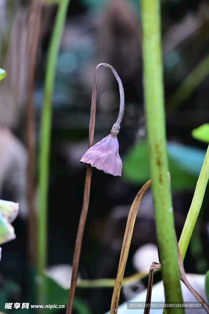 残荷