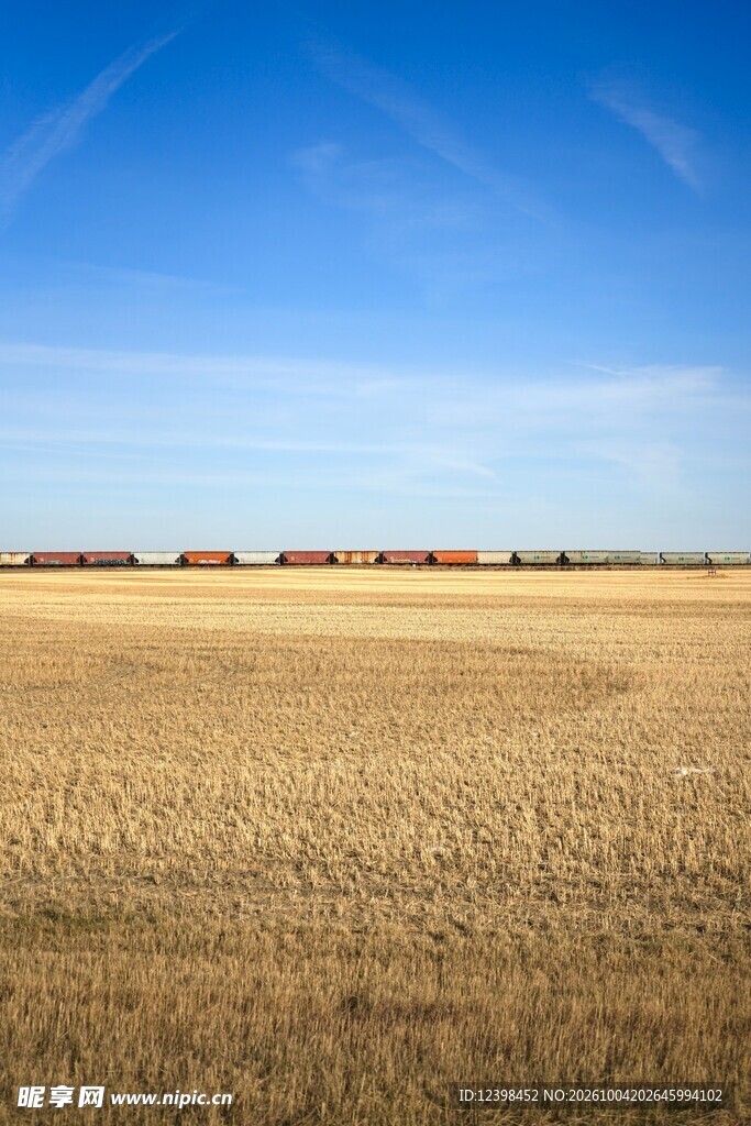 晴空下的广袤田野