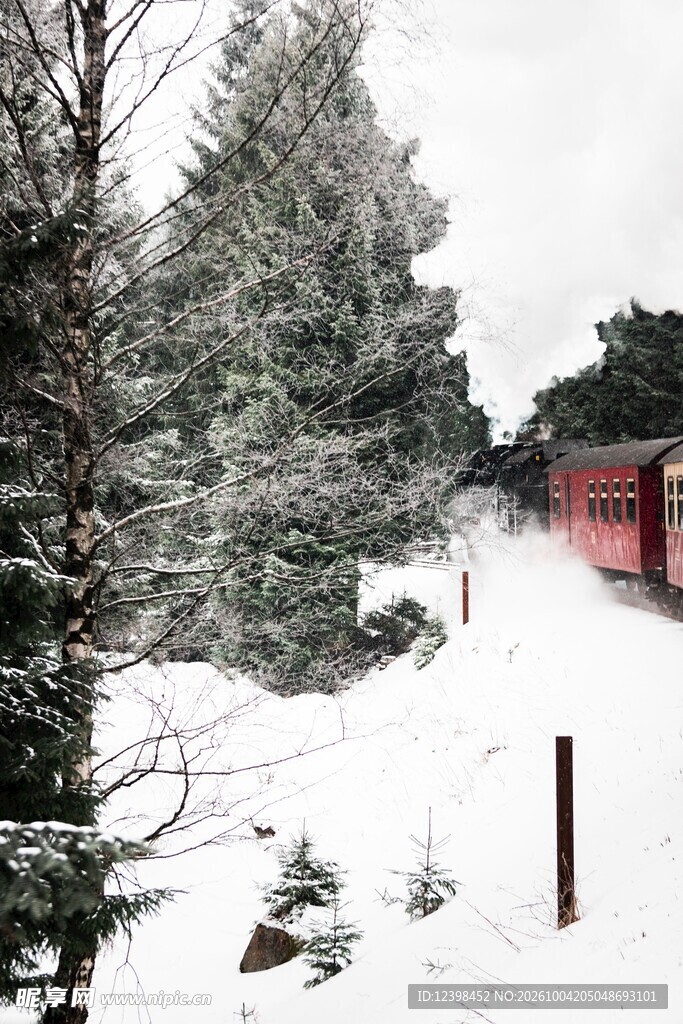 冬日雪后林间雪景