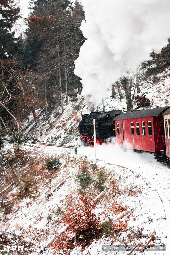 雪林间行驶的红色火车