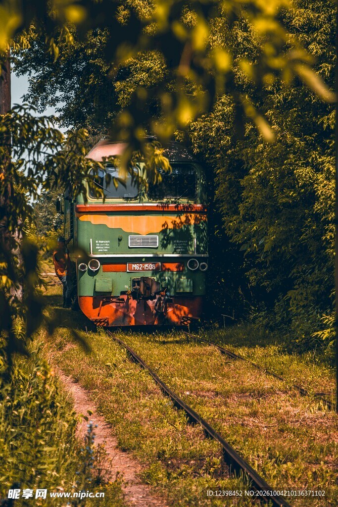 林间复古观光小火车