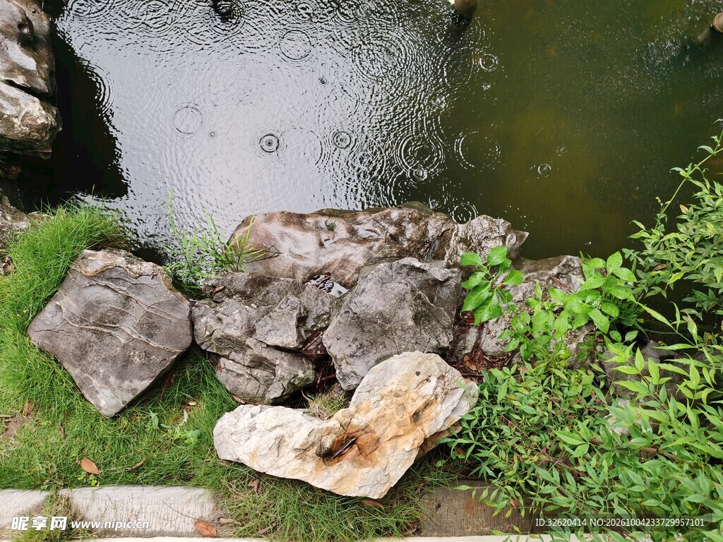 水边石块青草自然小景