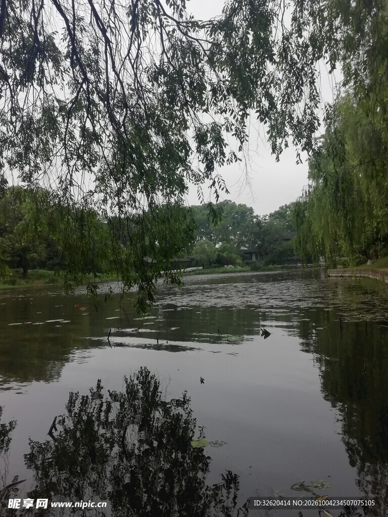 郊野河畔自然水景