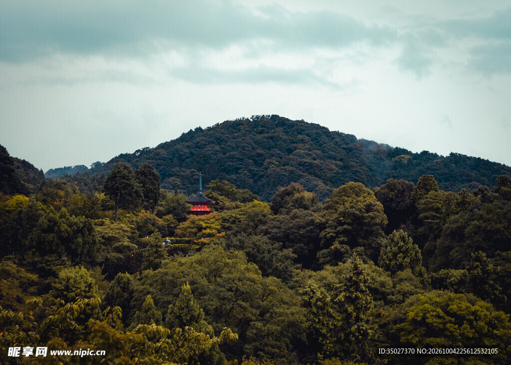 郊野山林远景