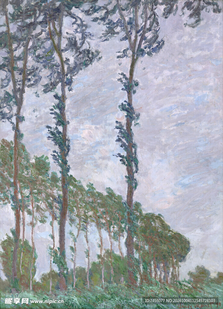 杨树风景印象派油画