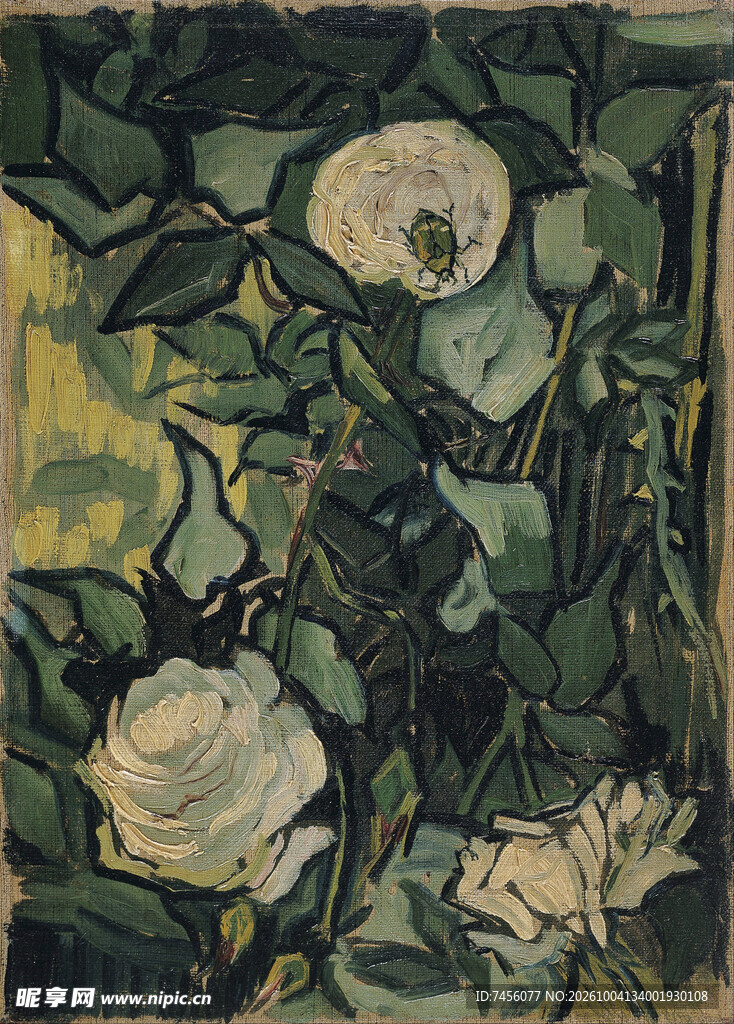 复古白玫瑰花卉版画