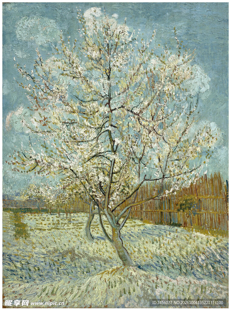 盛开花树油画