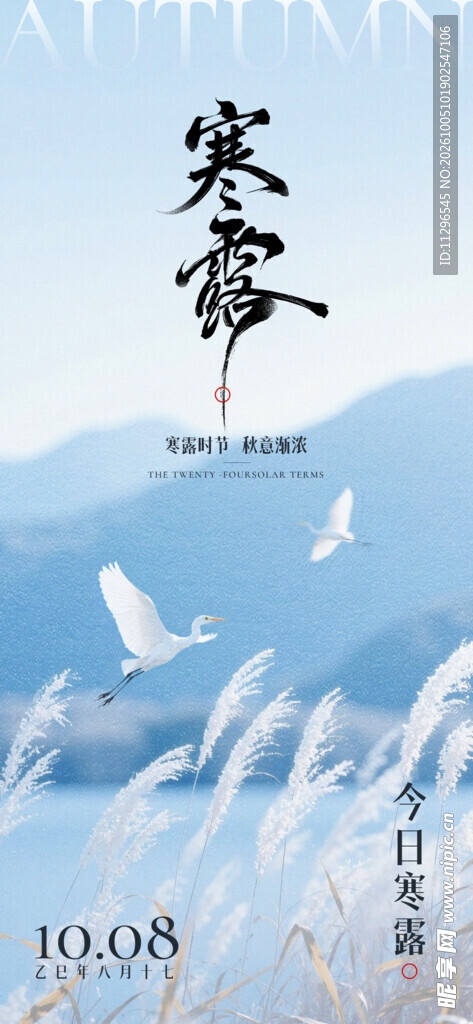 寒露节气国风海报