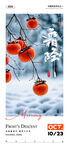 霜降柿子节气海报