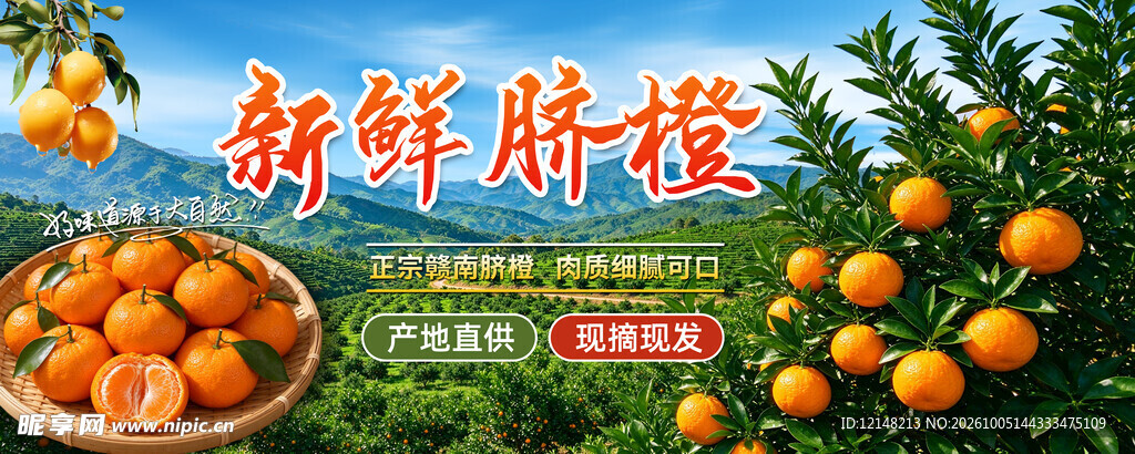 新鲜脐橙