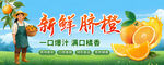 新鲜脐橙