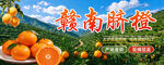 赣南脐橙
