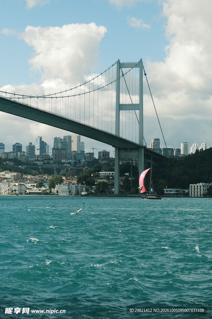 博斯普鲁斯大桥海景