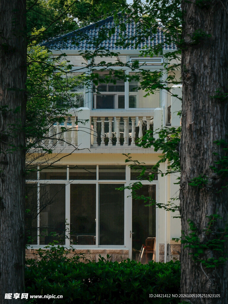林间掩映的住宅
