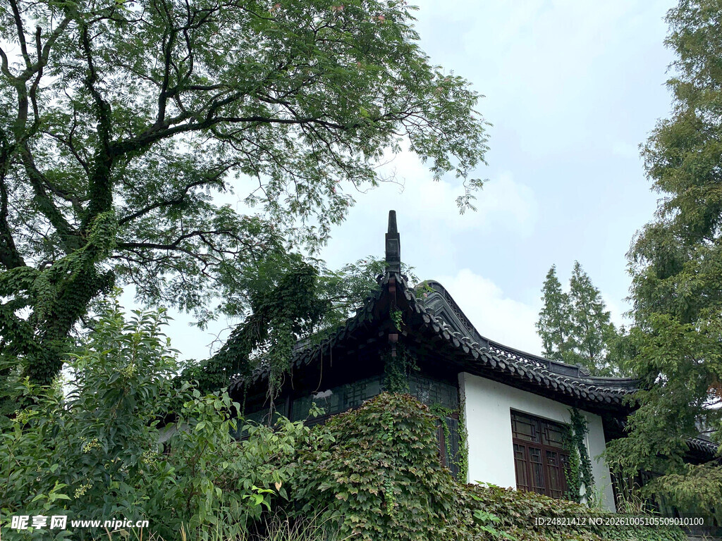 林间中式古建