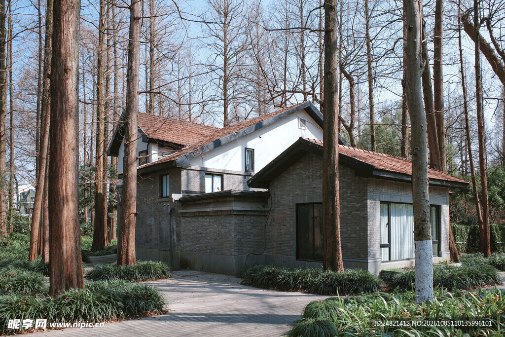 林间红顶小屋