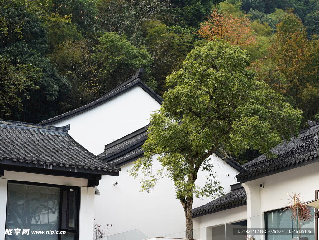 江南传统民居风光