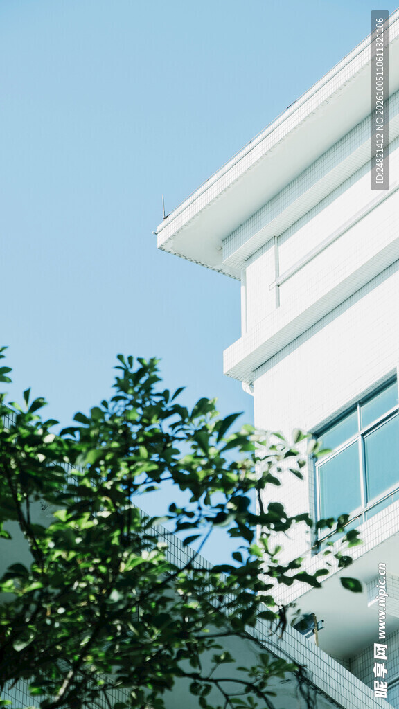 晴空下白色建筑与绿植