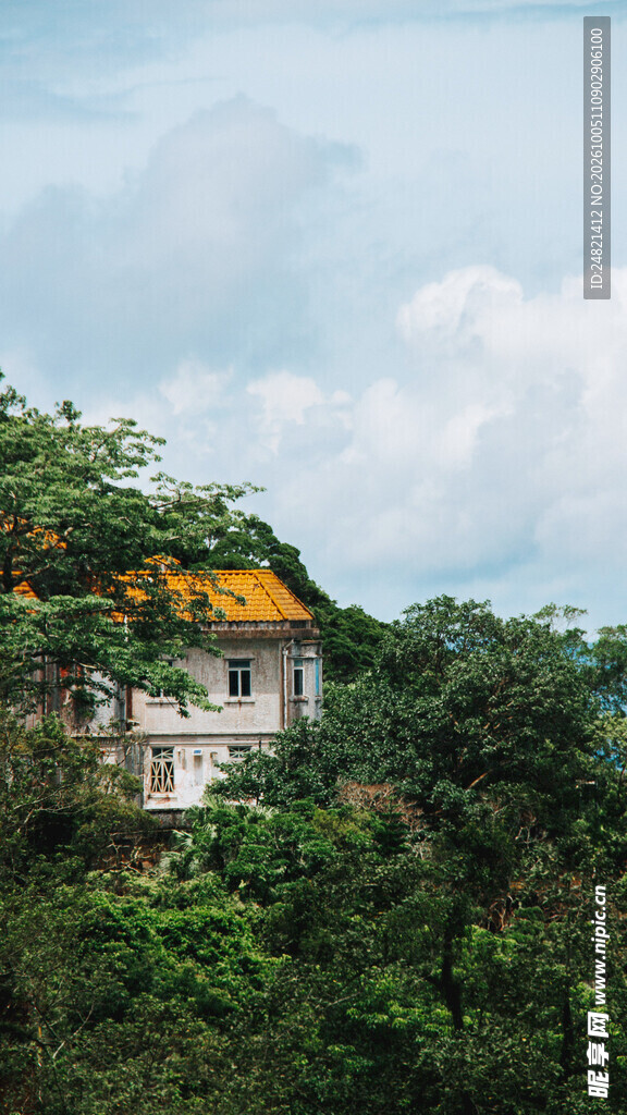 山林间黄顶小屋风光